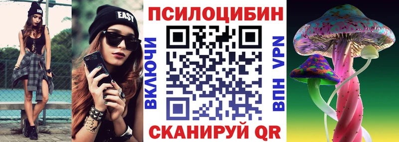 Псилоцибиновые грибы прущие грибы  Тбилисская 